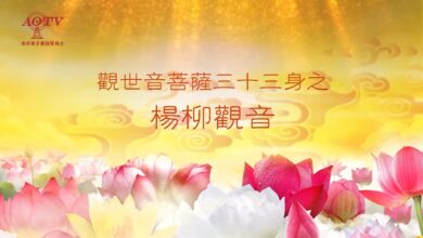 Photo of 楊柳觀音