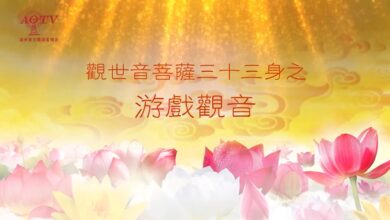 Photo of 游戲觀音