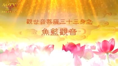 Photo of 魚籃觀音