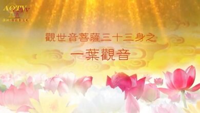 Photo of 一葉觀音